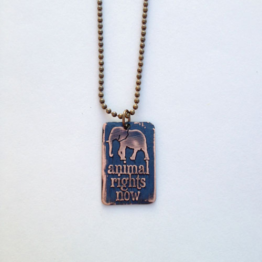 Animal Rights Now Elephant