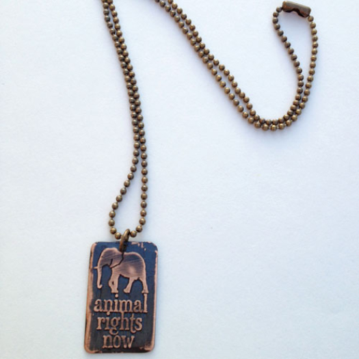 Animal Rights Now Elephant